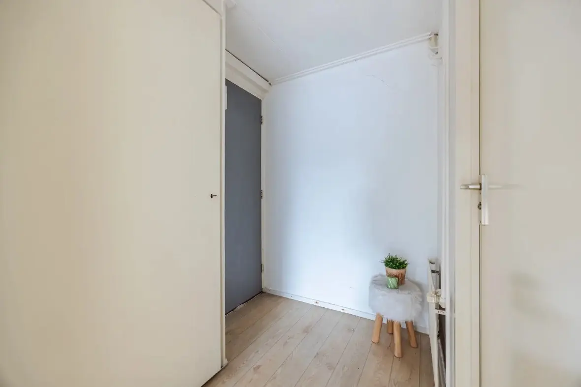 Image 6 of 14