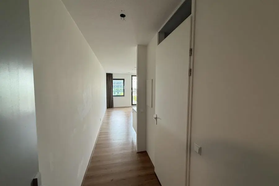 Image 12 of 20