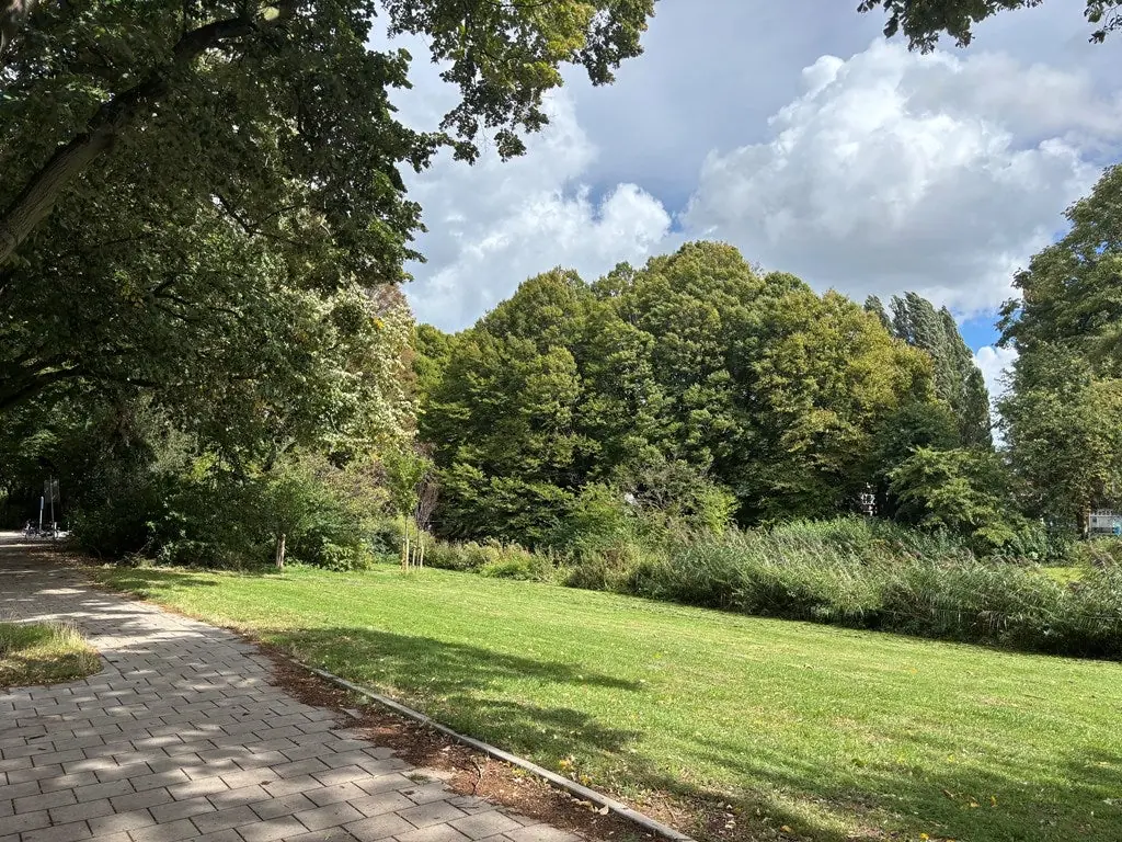 Image 18 of 20