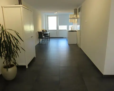 Studio meublé Assinklanden, Enschede - À louer