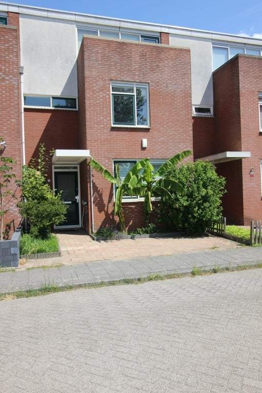 Afbeelding 1 van 30