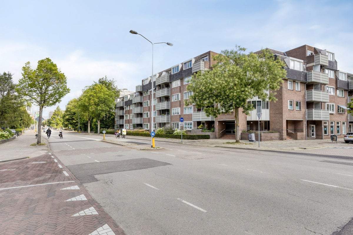 Afbeelding 1 van 25