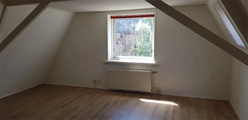 Image 4 of 8