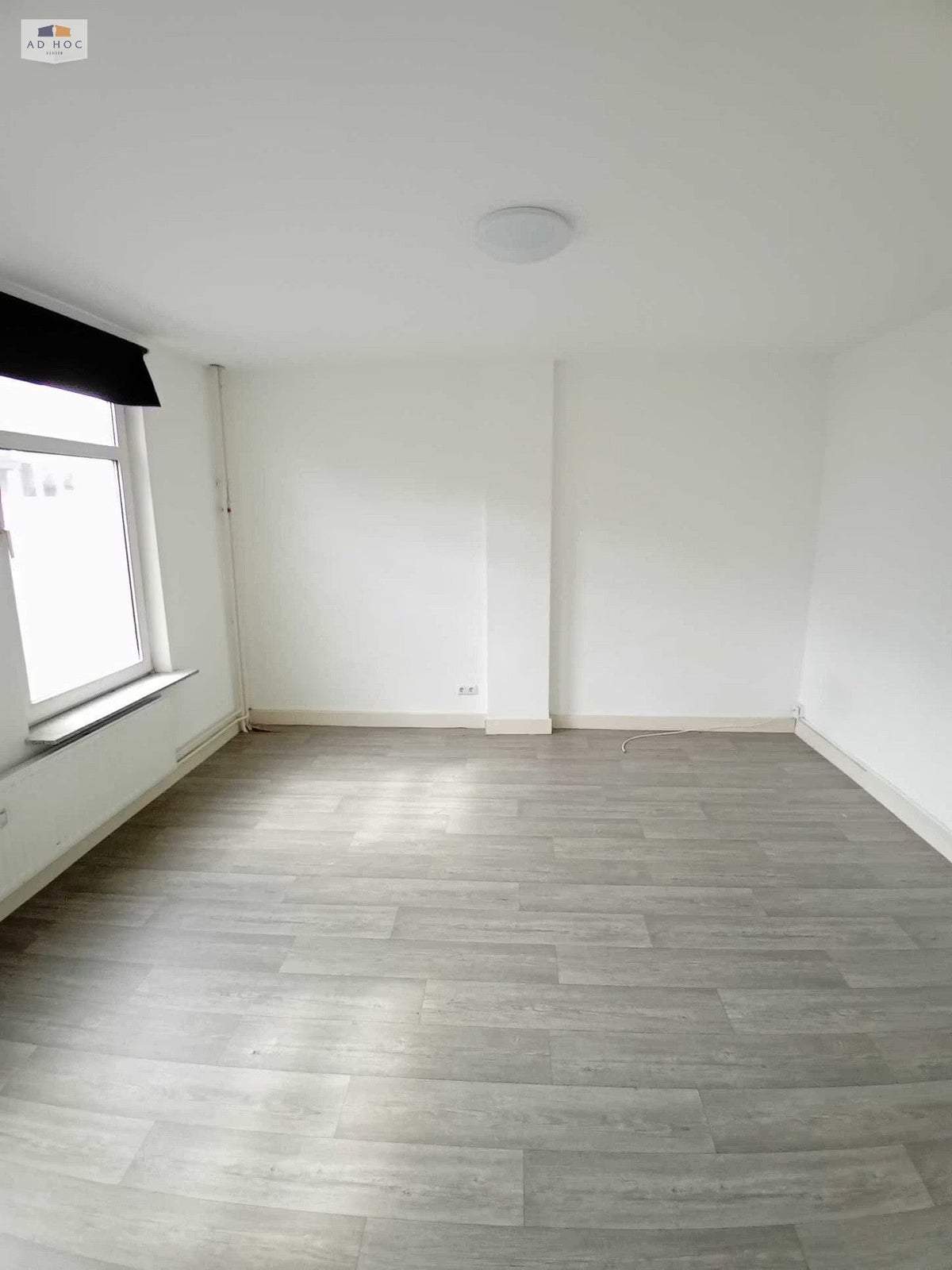 Bild 3 von 3