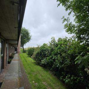 Image 5 sur 6