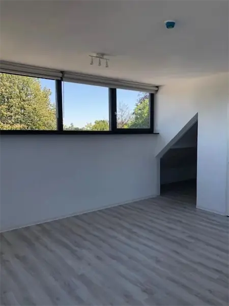 Image 8 of 8