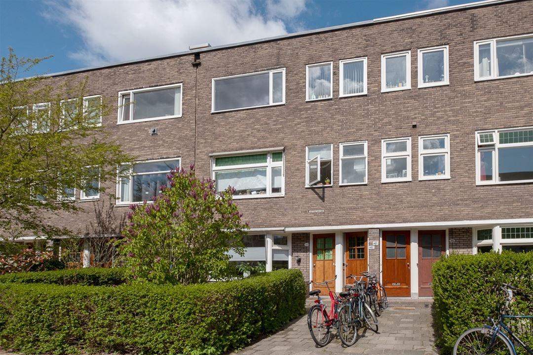 Afbeelding 1 van 10