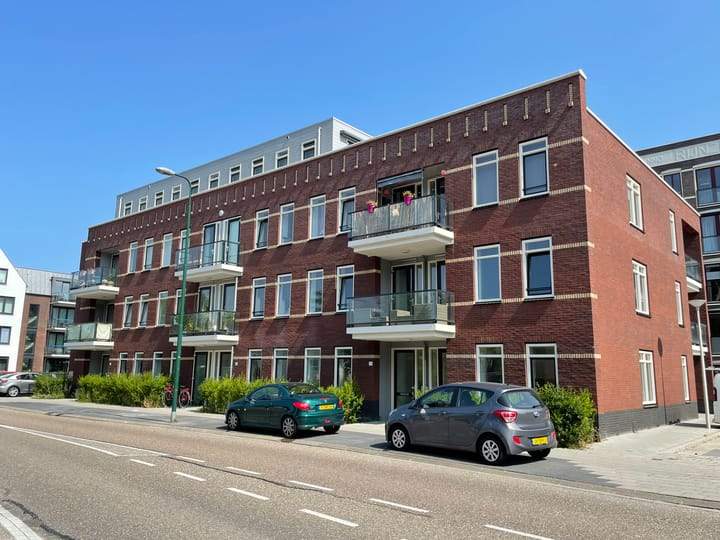 Afbeelding 2 van 12