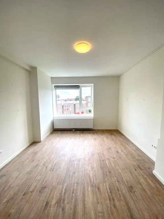 Image 2 of 17