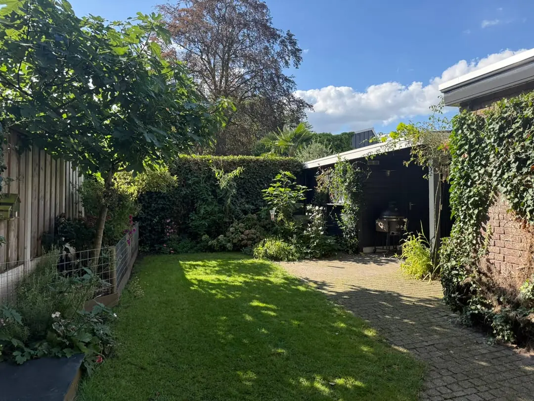 Image 26 of 28