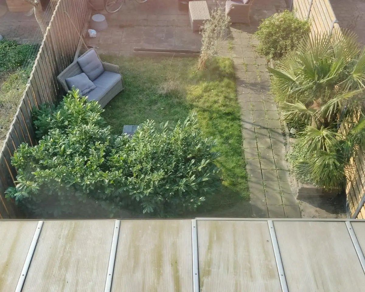 Image 6 of 8