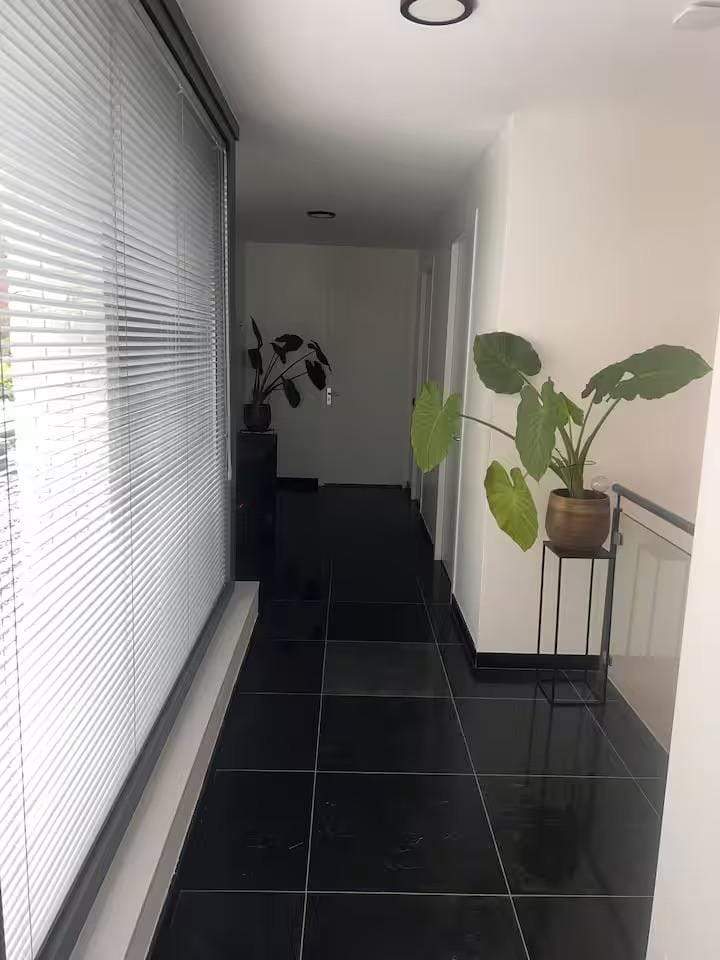 Image 14 of 16