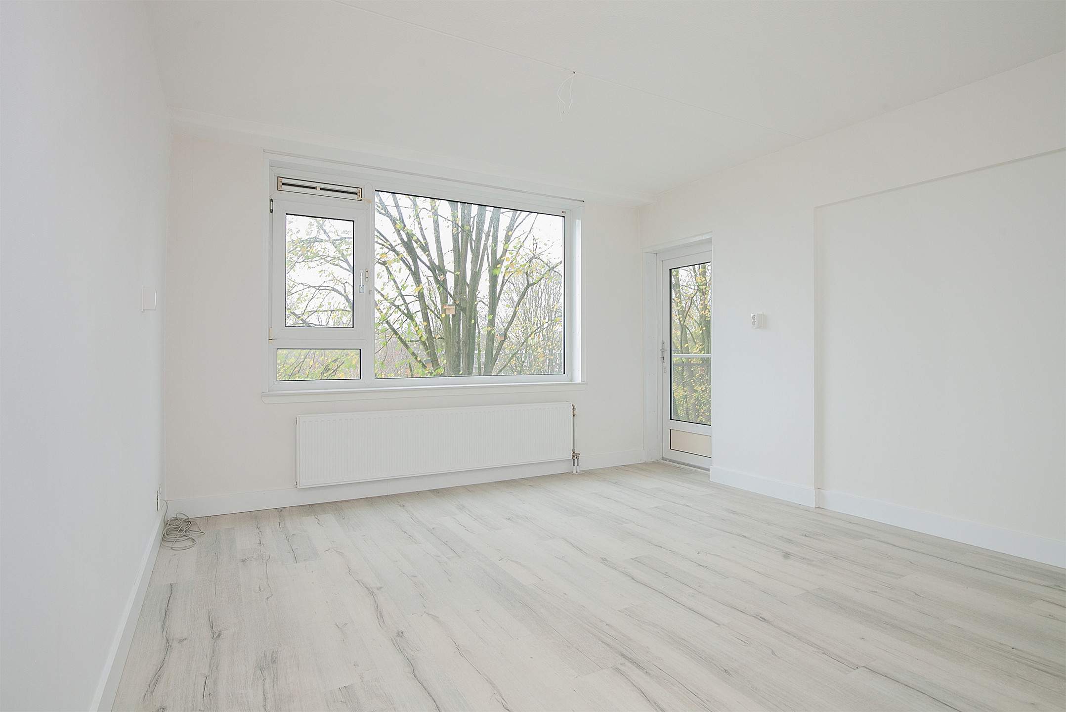 Image 1 of 15