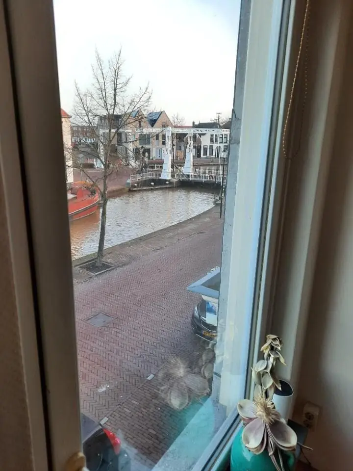 Afbeelding 7 van 9