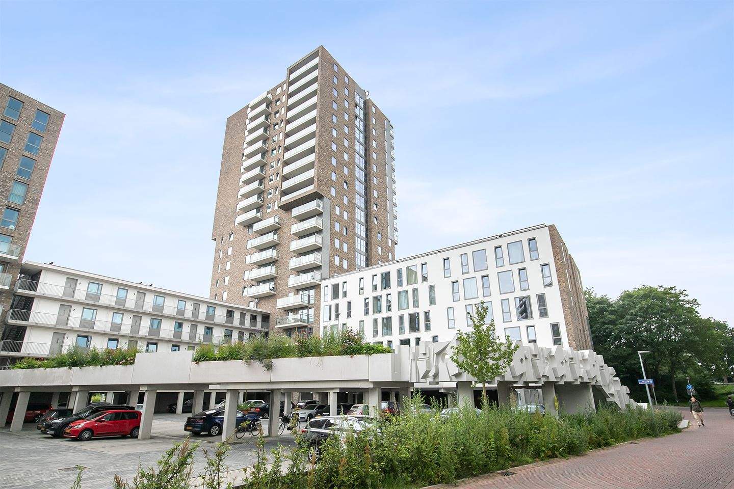 Afbeelding 3 van 12