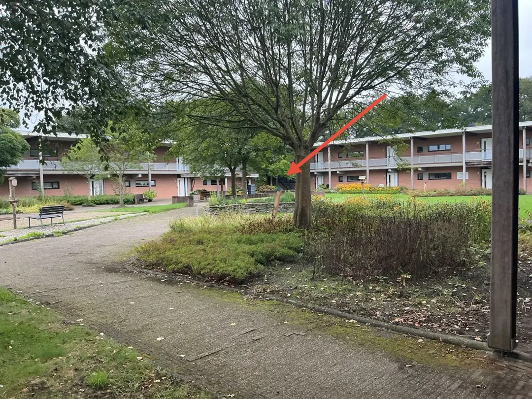 Afbeelding 2 van 6