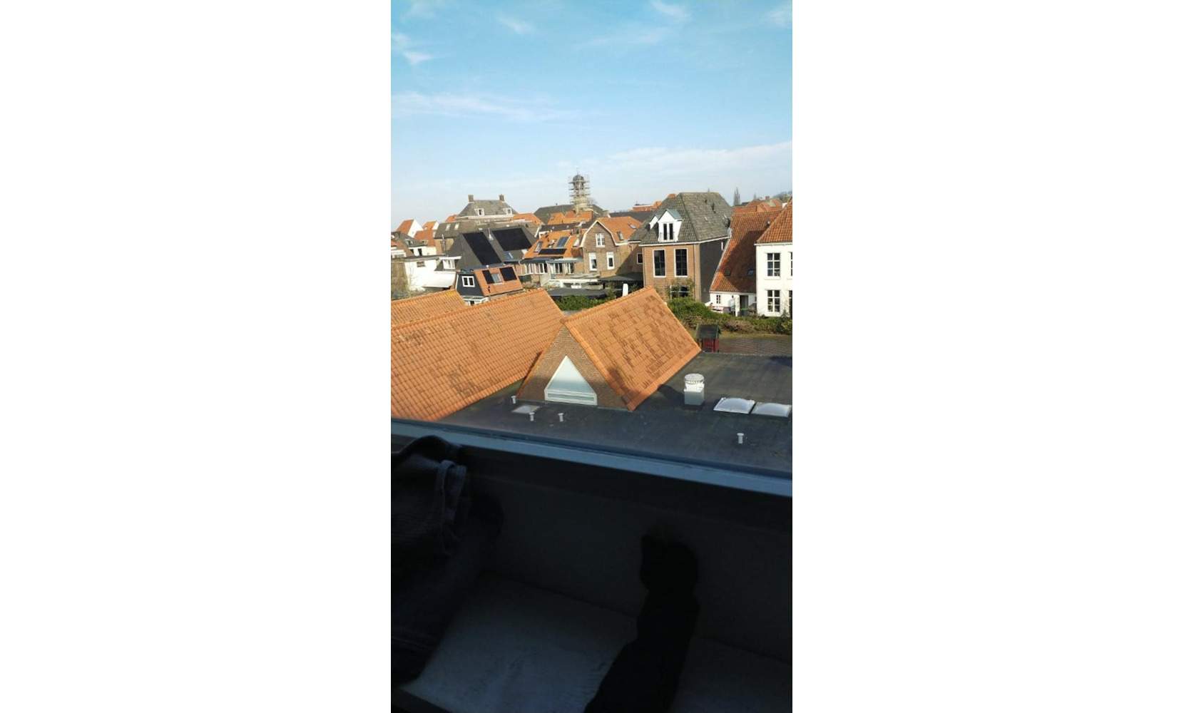Afbeelding 1 van 3