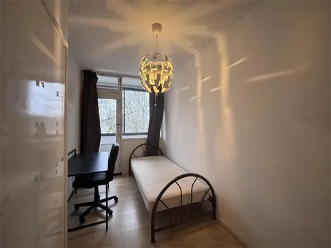 Room for Rent Schalmeistraat, Maastricht