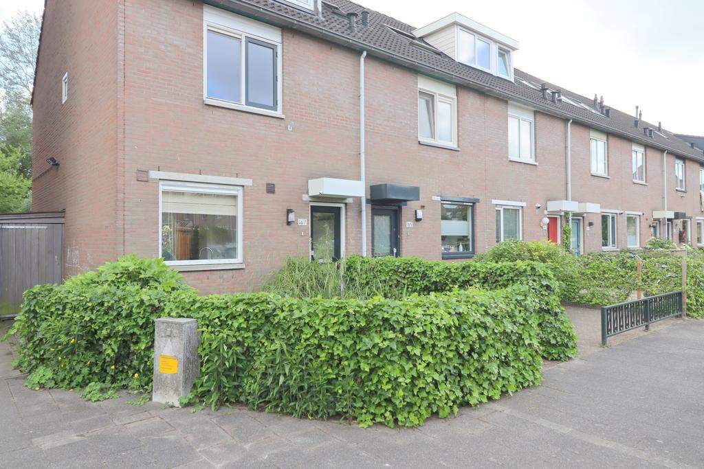 Afbeelding 1 van 45