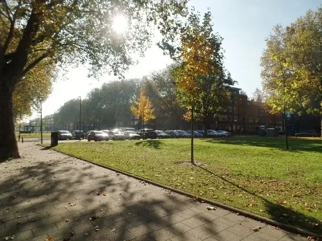 Image 17 of 18