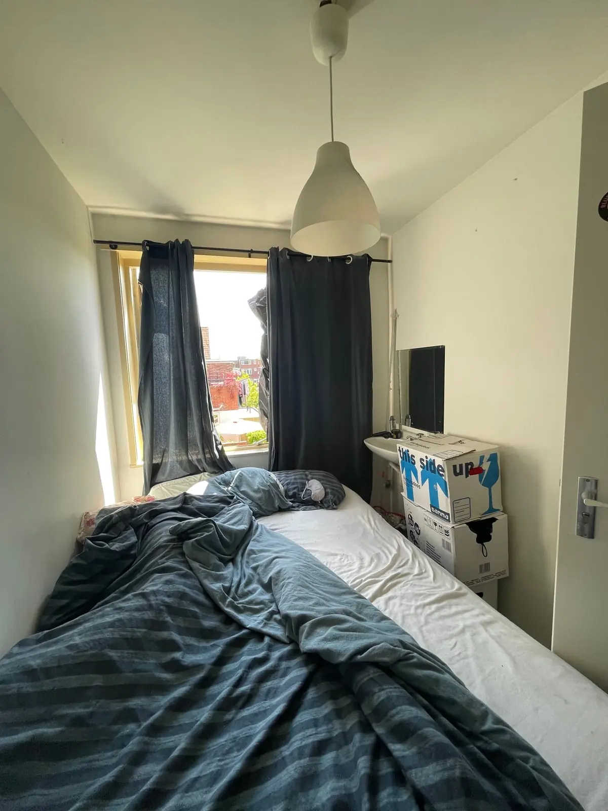 Image 6 of 8