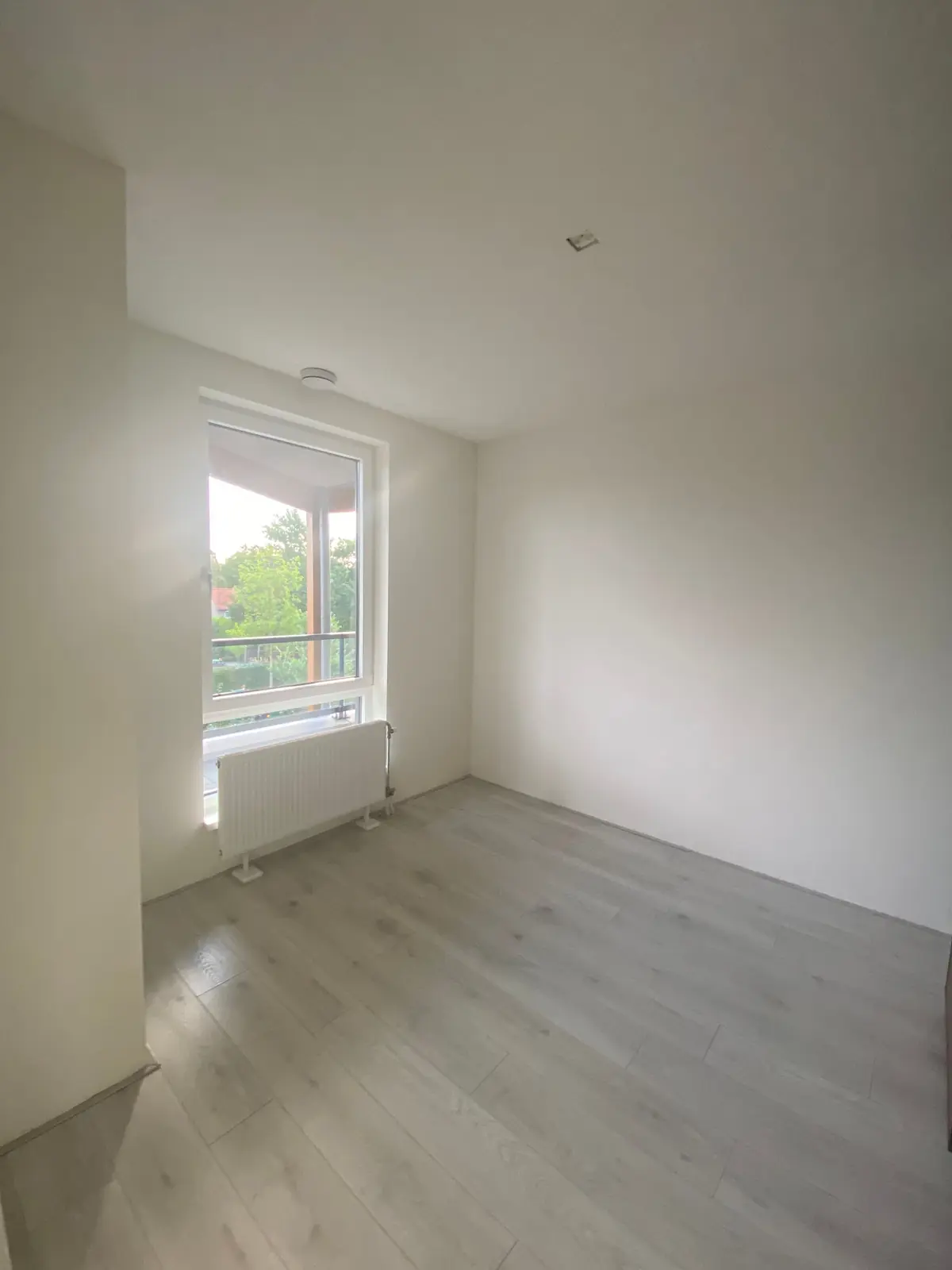 Image 12 of 27