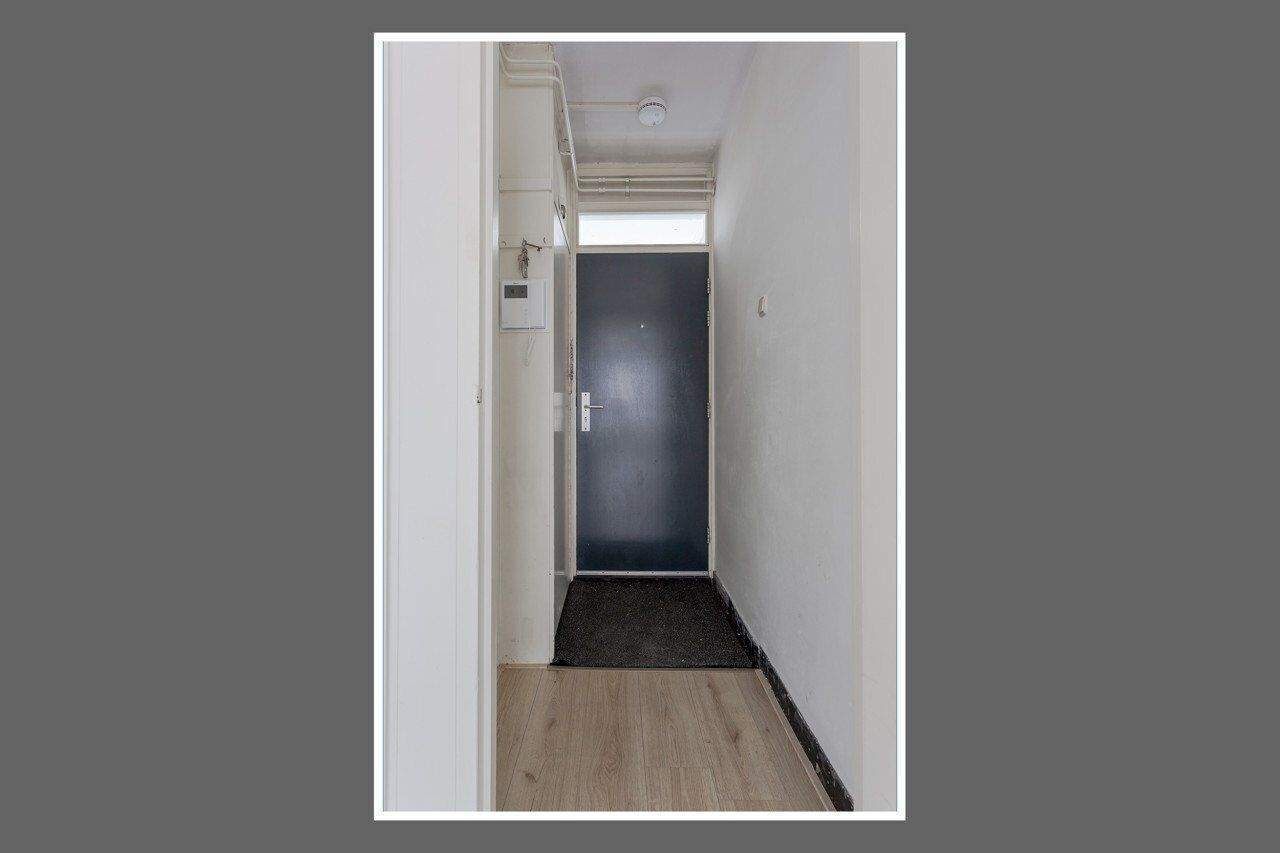 Image 5 sur 17