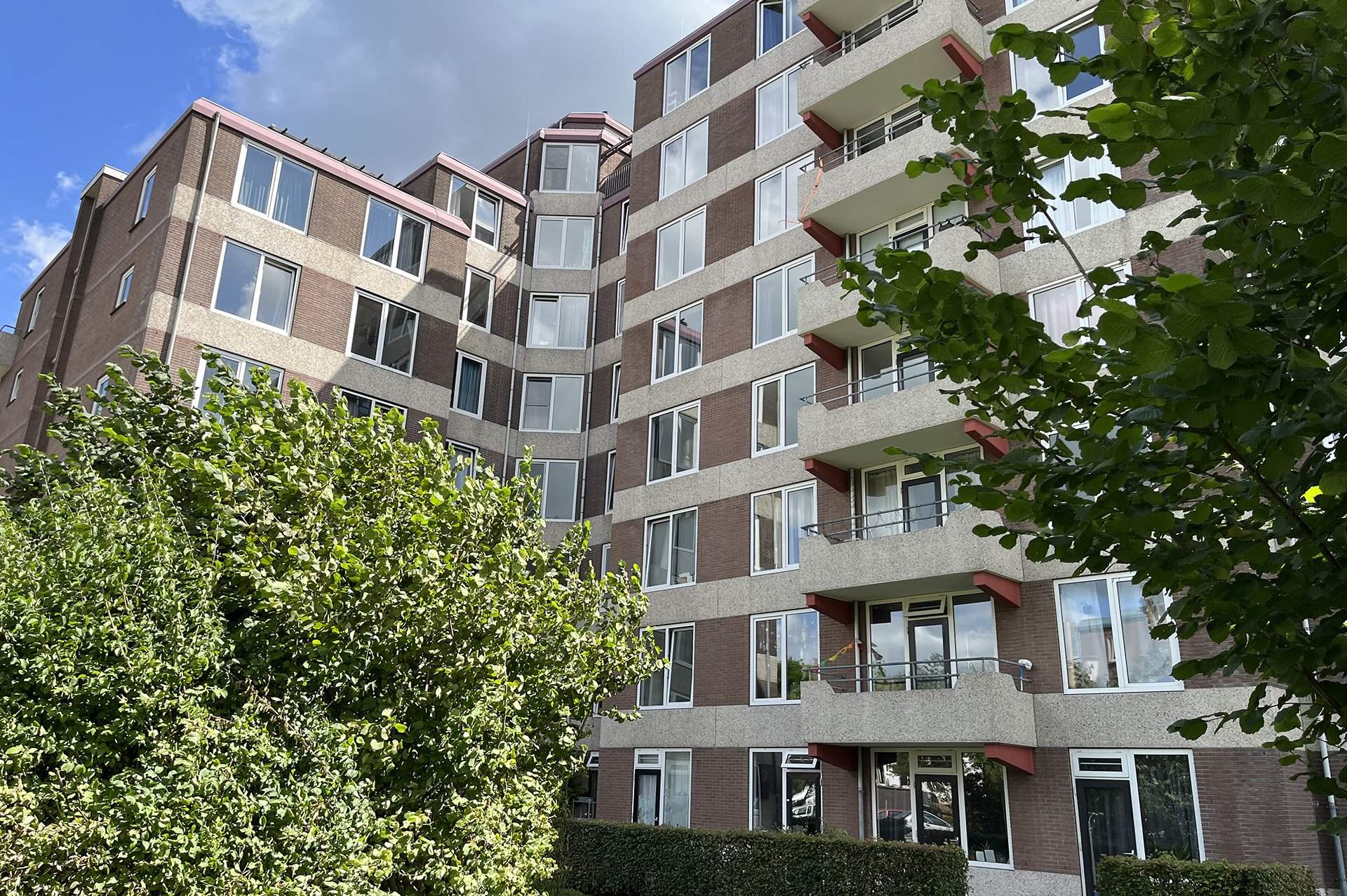Afbeelding 1 van 8