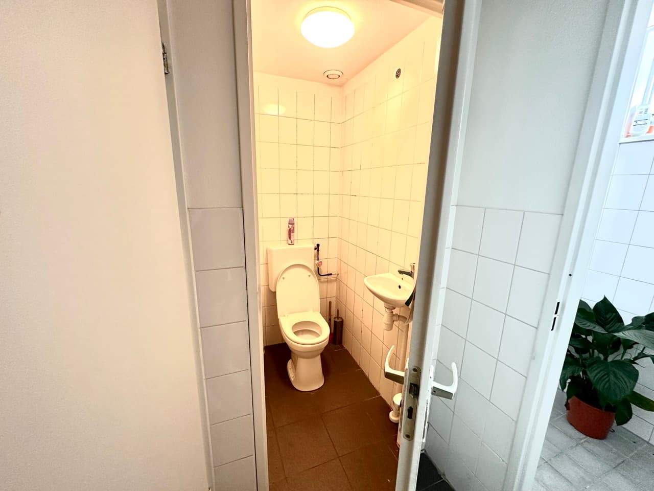 Image 6 of 8