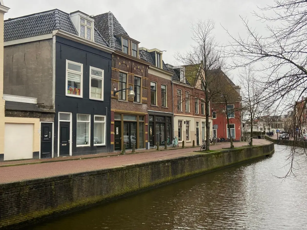 Afbeelding 11 van 12