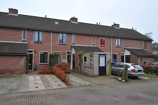 Afbeelding 2 van 12