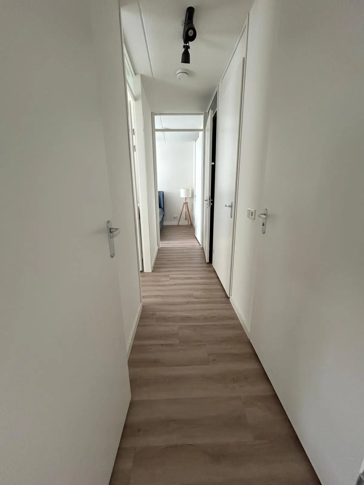 Bild 4 von 14