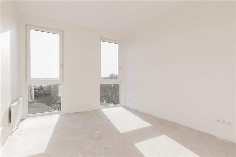 Image 12 of 21