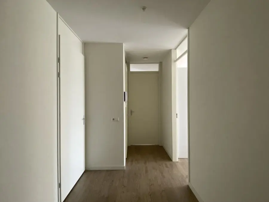 Image 7 sur 11