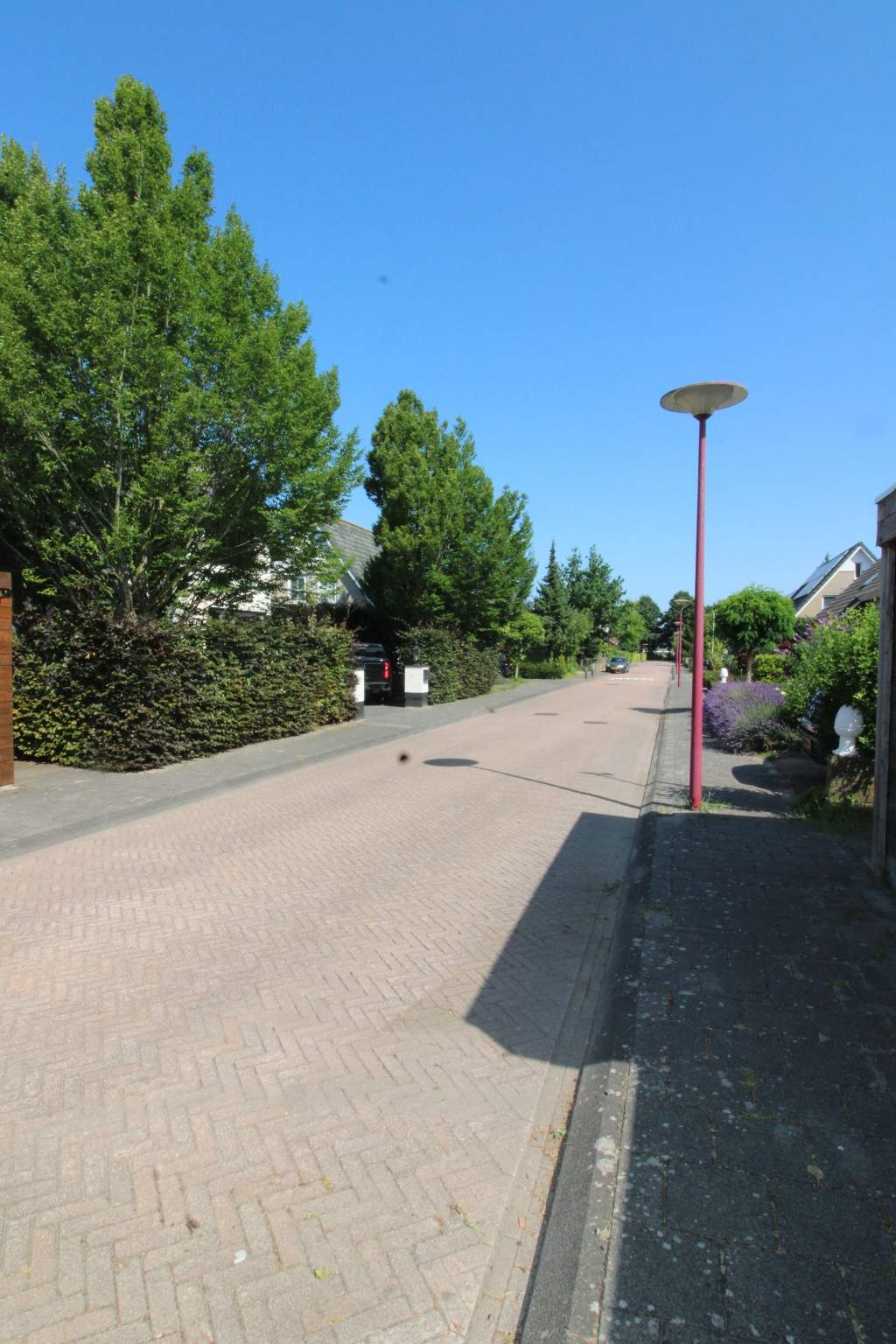 Bild 35 von 35