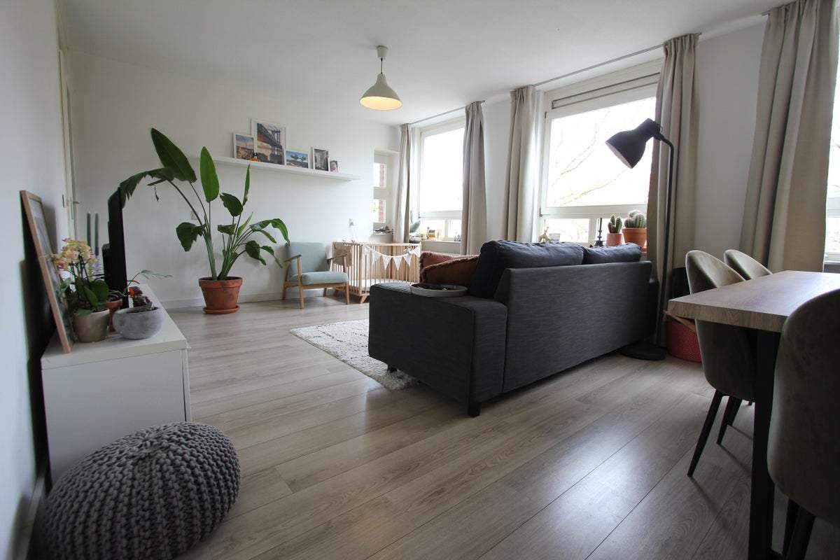 Bild 2 von 20
