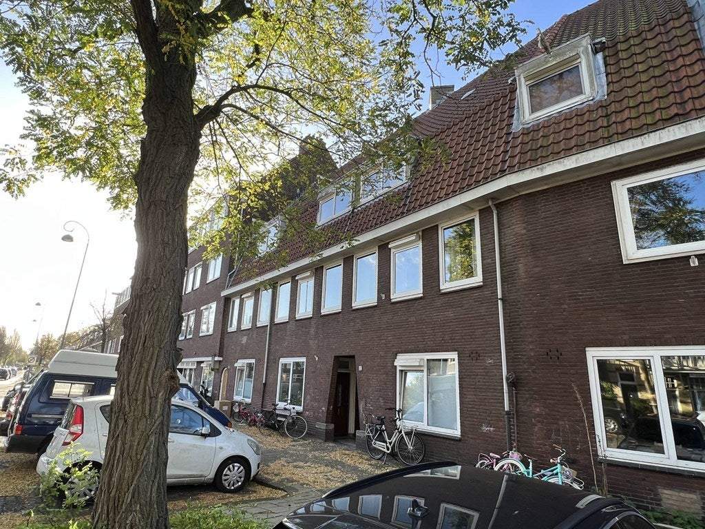 Afbeelding 1 van 21