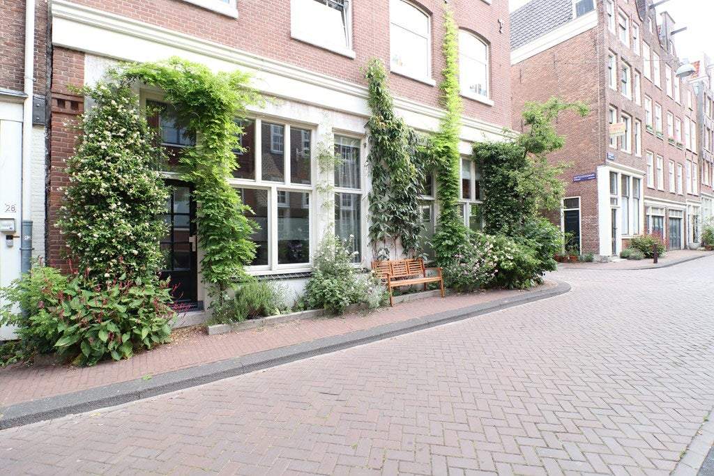 Afbeelding 1 van 35