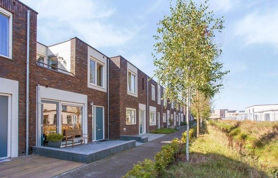Afbeelding 2 van 20