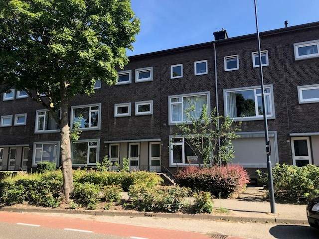 Afbeelding 1 van 14