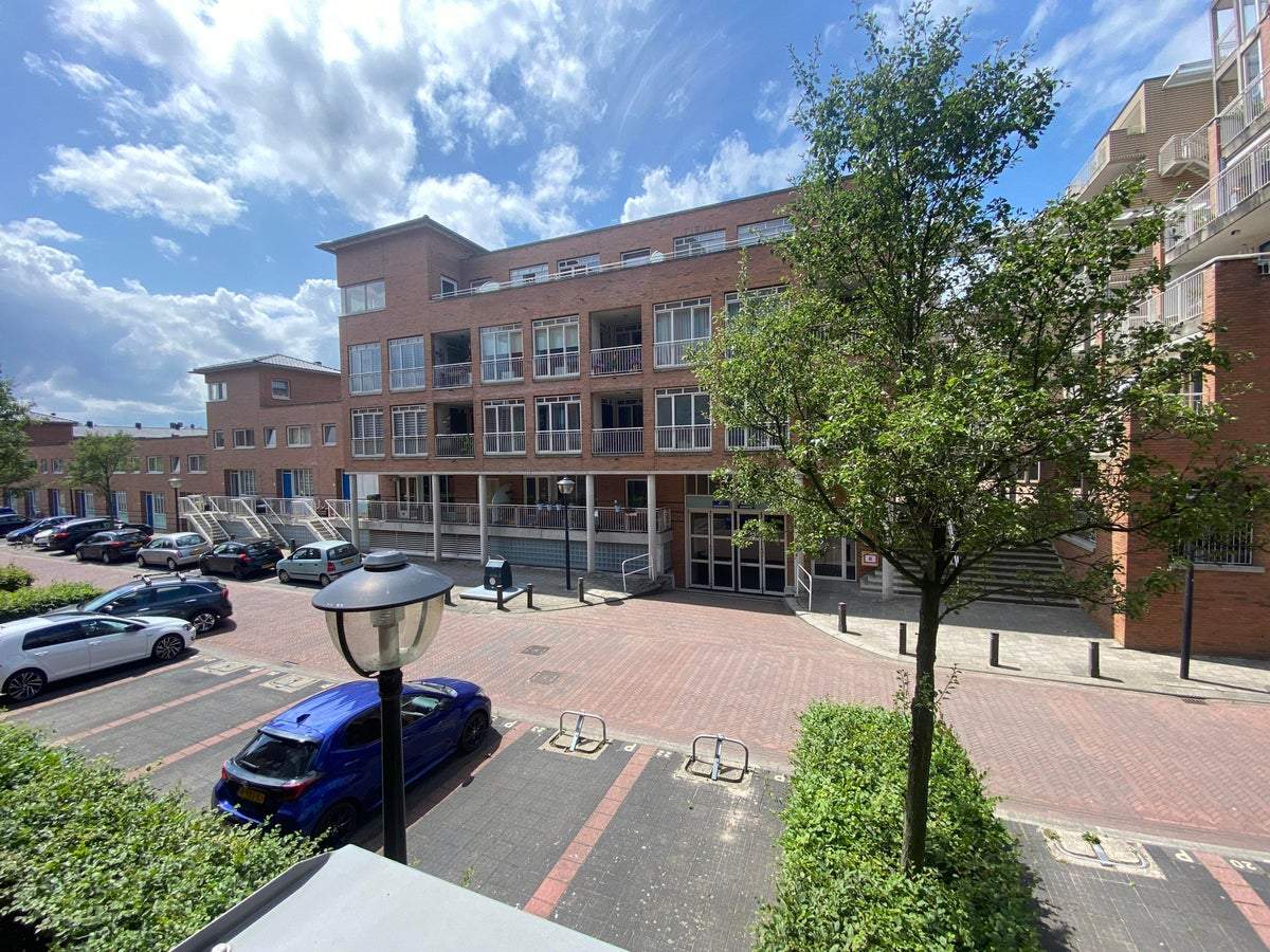 Afbeelding 3 van 47