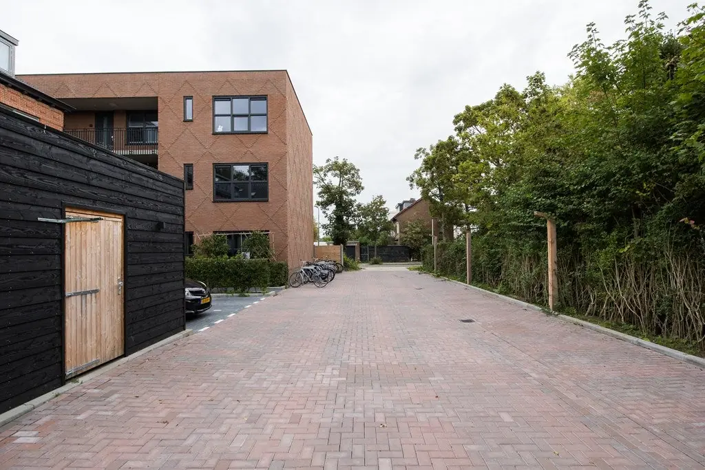 Imagen 1 de 7