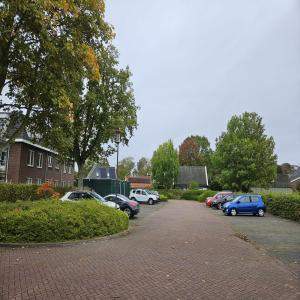 Afbeelding 9 van 9
