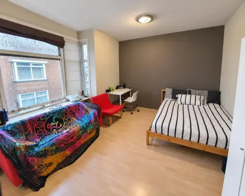 Furnished Room Boele van Hensbroekstraat, Den Haag - For Rent