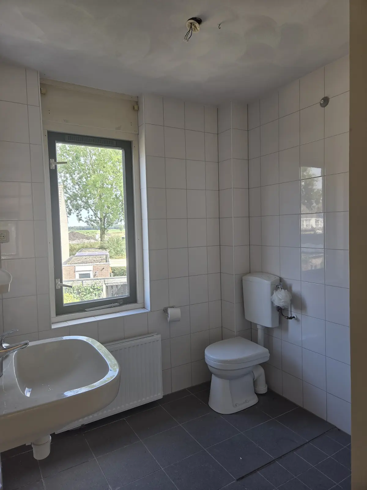 Bild 15 von 20