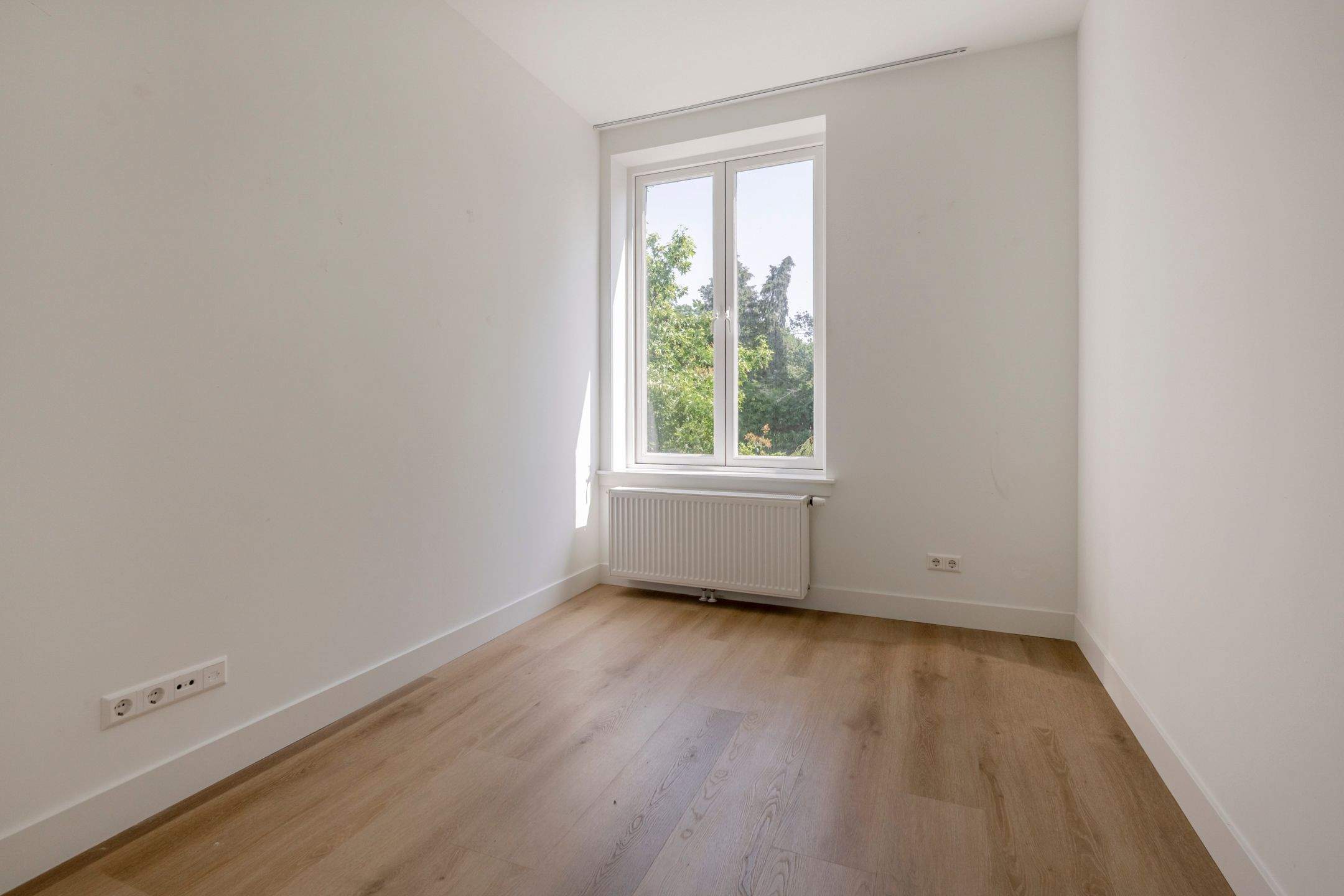 Bild 24 von 50