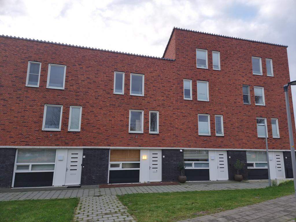 Afbeelding 1 van 12