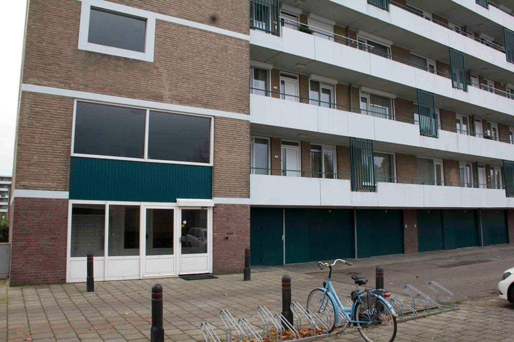 Afbeelding 1 van 15