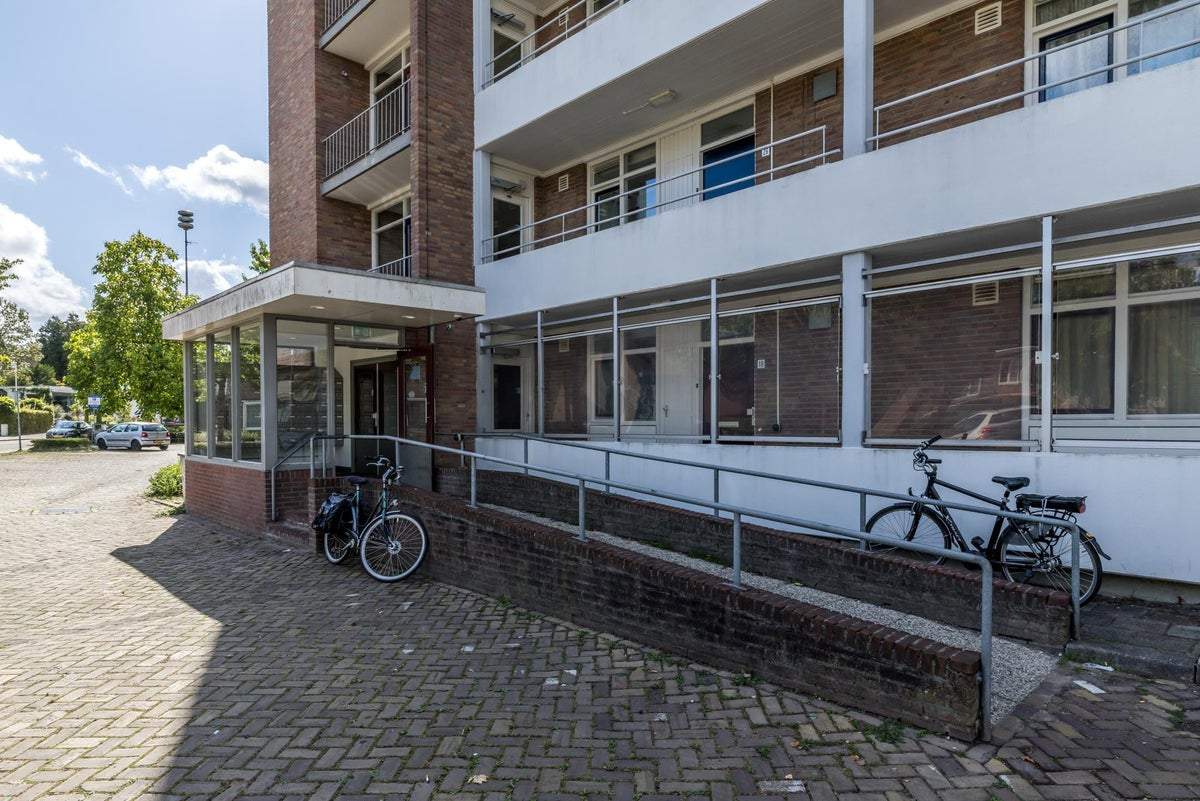 Afbeelding 2 van 19