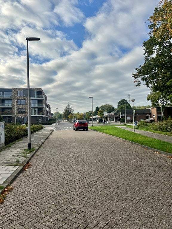 Afbeelding 3 van 17